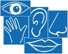 Angebots-Logo
